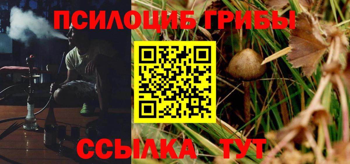 Псилоцибиновые грибы MAGIC MUSHROOMS Черкесск