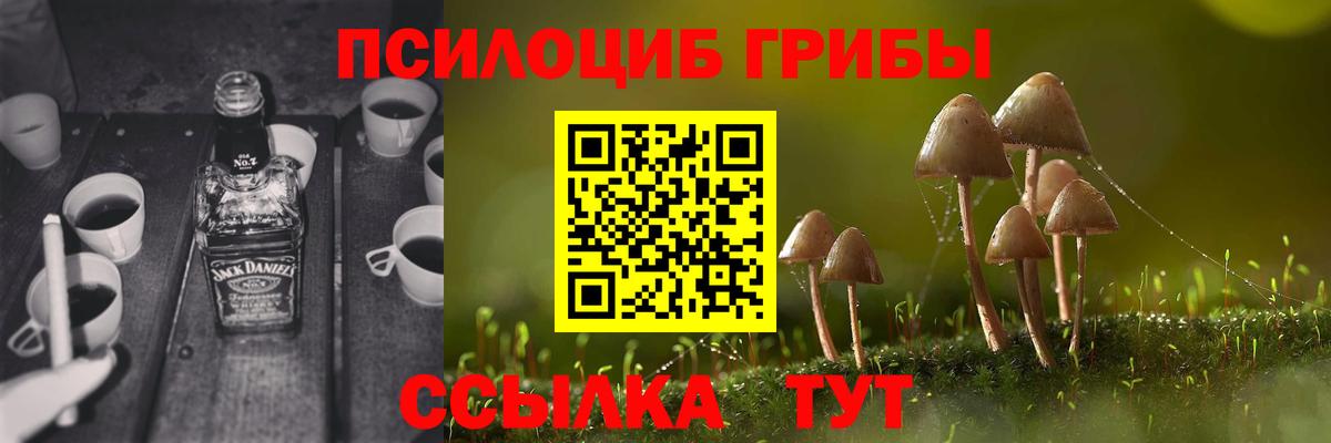 Черкесск  Псилоцибиновые грибы Cubensis  Вход с VPN  Псилоцибиновые грибы MAGIC MUSHROOMS 