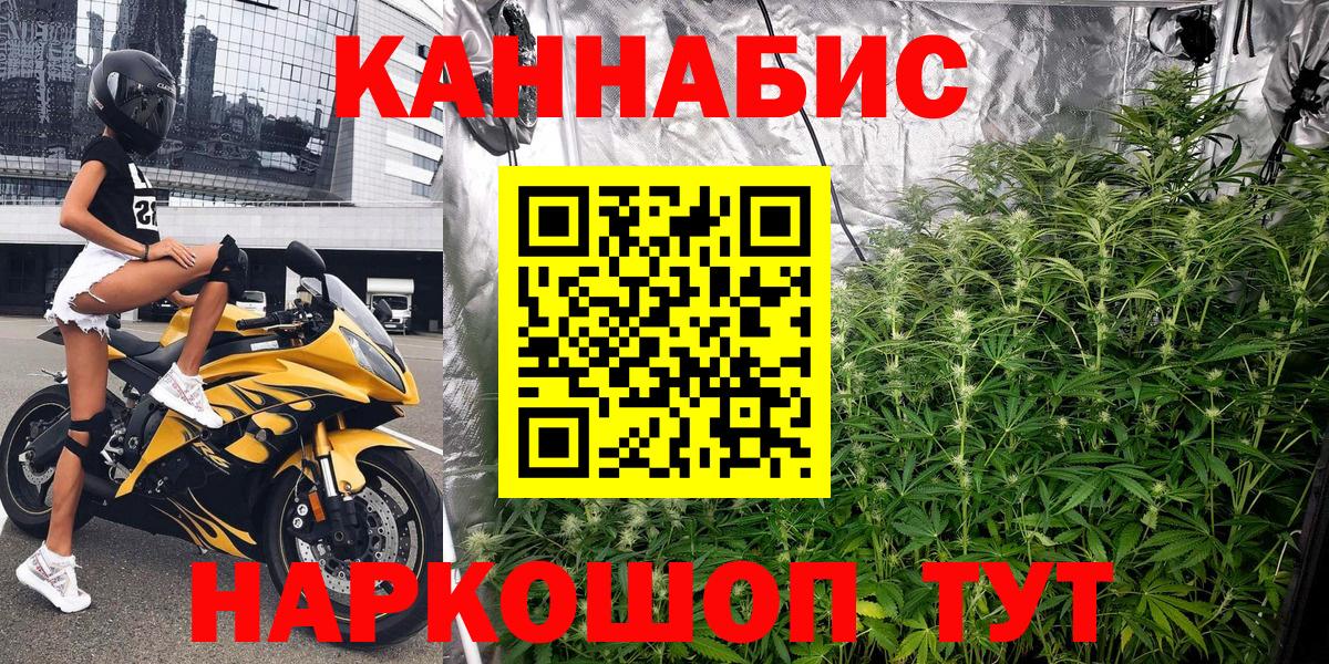 Бошки марихуана White Widow  Каннабис планчик  Марихуана VHQ  Вход с VPN  Черкесск  МАРИХУАНА тримм 